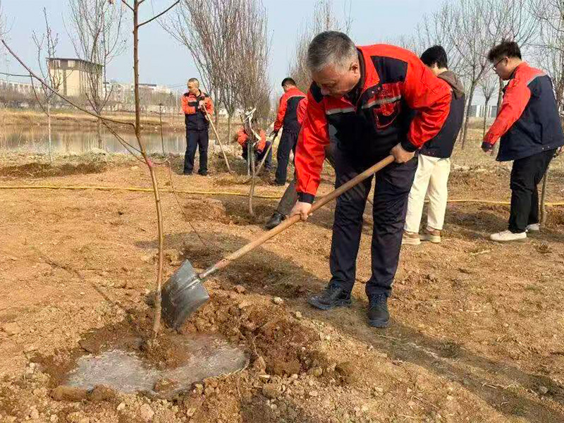 绿色发展 步履不停 | 公司组织开展植树节义务劳动